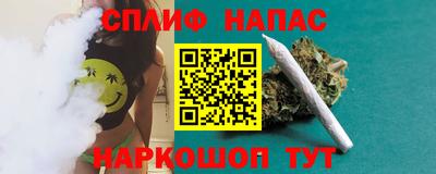 СК Пенза