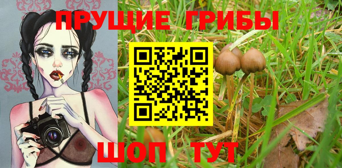 Соль-Илецк  Галлюциногенные грибы ЛСД  Вход с VPN 